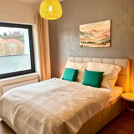 Apartman Petrov Luxury With Parking *