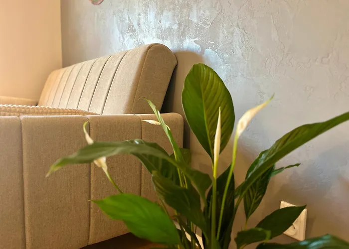 Petrov Luxury With Parking Appartement